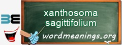 WordMeaning blackboard for xanthosoma sagittifolium